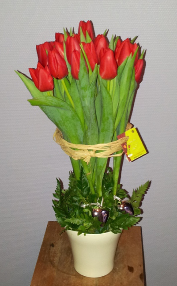 11-12-2012_bottetul2
