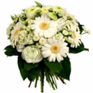 BOUQUET COCO
