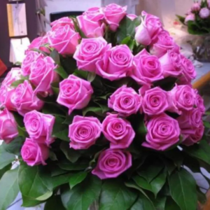 BOUQUET DE ROSES ROSE VIF