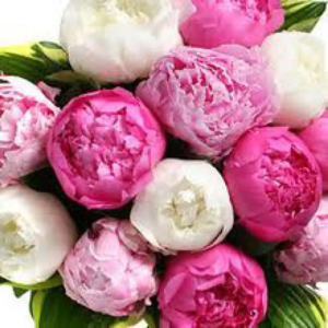 bouquet pivoine V2