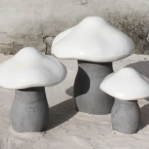 Champignon blanc