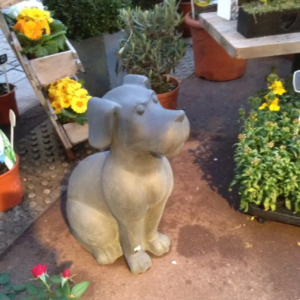 Chien