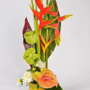 COMPOSITION EXOTIQUE