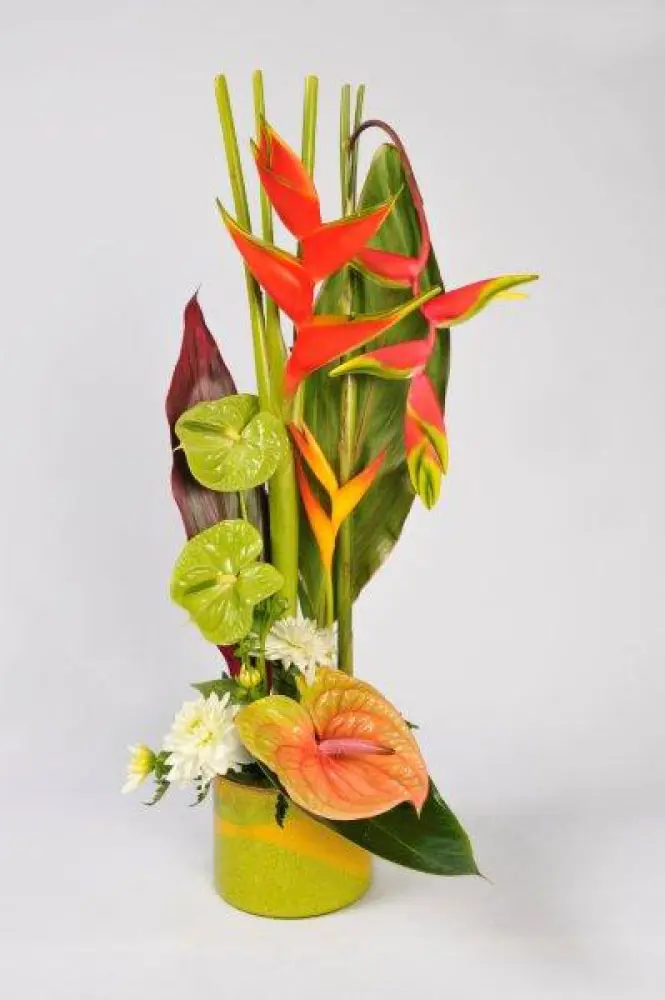 COMPOSITION EXOTIQUE