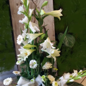 COMPOSITION HAUTEUR BLANC