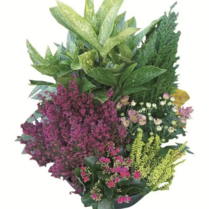 Coupe de plantes