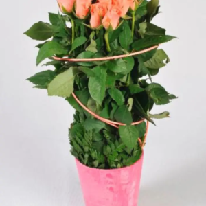 FUSEAU DE ROSES ROSE