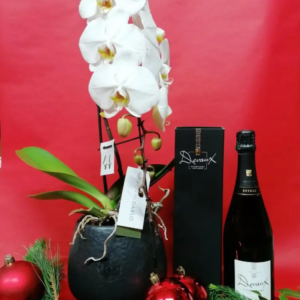 orchidee blanche et champagne