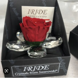 ROSE STABILISEE CRISTAL SWAROVSKI