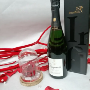 ROSE STABILISEE SOUS SA CLOCHE EN VERRE ET SES ACCOMPAGNEMENTS