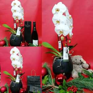 une orchidée ,chocolats ,peluche ,champagne - cadeau XXL (une tout en un)