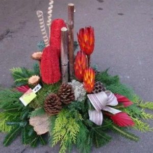 ARRANGEMENT SAPIN