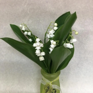 BOUQUET 5 BRINS DE MUGUET DANS VASE