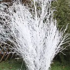 BOUQUET DE BRANCHES DE BOULEAU BLANCHES 100cm