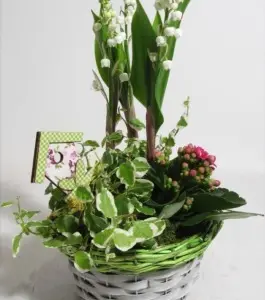 COMPOSITION PRINTANIERE DE MUGUET
