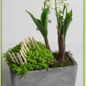 COMPOSITION PRINTANIERE MUGUET