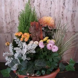 COUPE DE PLANTE VERTE ET FLEURIE (résiste aux gelées)