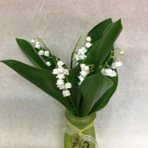 LOT DE 2 BOUQUETS DE 5 BRINS DE MUGUET DANS VASE