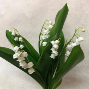 LOT DE 3 BOUQUETS DE 5 BRINS DE MUGUET