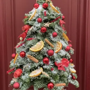 SAPIN RECONSTITUE